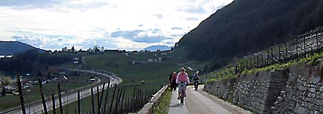 Bild: Fahrradfahren in der Region
